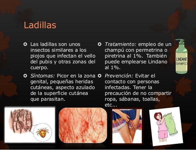 4 Formas De Tratar Y Prevenir Las Ladillas – FDJY