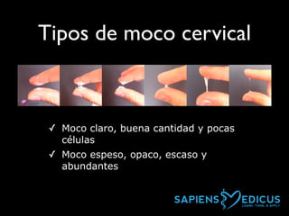 Métodos clínicos y paraclínicos en ginecología | PDF