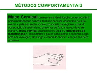 MÉTODOS COMPORTAMENTAIS
Muco Cervical baseia-se na identificação do período fértil
pelas modificações cíclicas do muco cervical, observado no auto-
exame e pela sensação por ele provocada na vagina e vulva. A
observação da ausência ou presença do fluxo mucoso deve ser
diária. O muco cervical aparece cerca de 2 a 3 dias depois da
menstruação e, inicialmente é pouco consistente e espesso. Logo
antes da ovulação, ele atinge o chamado "ápice", em que fica bem
grudento.
 