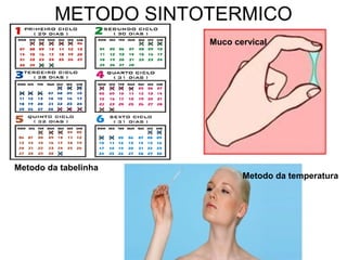 METODO SINTOTERMICO
Muco cervical
Metodo da temperatura
Metodo da tabelinha
 