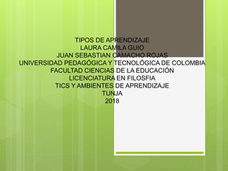 TIPOS DE APRENDIZAJE
LAURA CAMILA GUIO
JUAN SEBASTIAN CAMACHO ROJAS
UNIVERSIDAD PEDAGÓGICA Y TECNOLÓGICA DE COLOMBIA
FACULTAD CIENCIAS DE LA EDUCACIÓN
LICENCIATURA EN FILOSFIA
TICS Y AMBIENTES DE APRENDIZAJE
TUNJA
2018
 