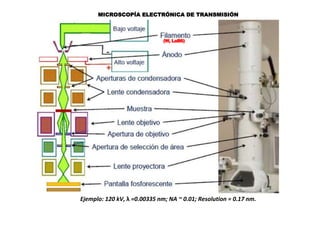 MICROSCOPÍA ELECTRÓNICA DE TRANSMISIÓN
Ejemplo: 120 kV, λ =0.00335 nm; NA ~ 0.01; Resolution = 0.17 nm.
(W, LaB6)
 