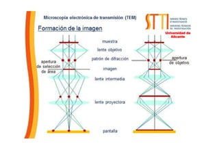 Universidad de
Alicante
 