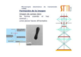Microscopia electrónica de transmisión
1TEM)
Formación de la imagen
Imagen de campo claro
Se forma usando el haz
central y
unos pocos haces difractados
HazIncidente
Cristal
Electrón dispersado con
gran ángulo después de
haber sufrido una colisión
elástica con la m'asea
Apertura del objetivo
CAMPO CL ARO imagen
formada únicamente
con los electrones no
clifractadOS
Electrón débilmente dispersado
después de haber sufrido una
colisión inelásrica con la muestra
Electrón110dispersado.nohasido
afectadoalatravesarelaistal
 