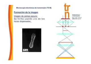 Microscopia electrónico de transmisión (TE M}
Formación de la imagen
Imagen de campo oscuro:
S e f o r m a u s a n d o u n o d e l o s
haces dispersados_
tr
n SEWEISTECIen.D
1NVE5TIIarCIC5
Ster" T#II `OS D E
billESTUEI Ario N
 