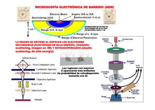 MICROSCOPÍA ELECTRÓNICA DE BARRIDO (SEM)
INTERACCIÓN DE UN HAZ DE
ELECTRONES DE 20 kV CON
UN MATERIAL CON Z = 20
LA IMAGEN SE OBTIENE AL ENFOCAR LOS ELECTRONES
SECUNDARIOS (ELECTRONES DE BAJA ENERGÍA, (inelastic
scattering, imagen en 3D) Y RETRODISPERSADOS (elastic
scattering, de alta energía)
Las regiones con mayores
Z aparecerán más brillantes
(la probabilidad de retrodispersión
aumenta con Z)
 