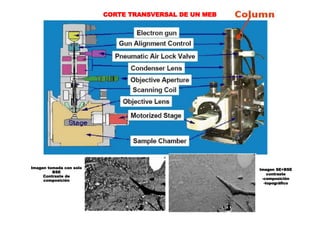 CORTE TRANSVERSAL DE UN MEB
Imagen tomada con solo
BSE
Contraste de
composición
Imagen SE+BSE
contraste
-composición
-topográfico
 