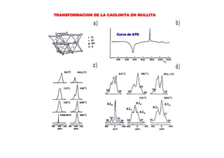 TRANSFORMACION DE LA CAOLINITA EN MULLITA
Curva de ATD
 