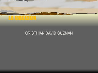 LA COCCION CRISTHIAN DAVID GUZMAN 