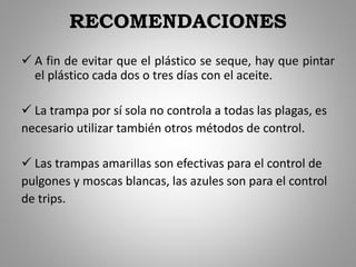 RECOMENDACIONES
 A fin de evitar que el plástico se seque, hay que pintar
el plástico cada dos o tres días con el aceite.
 La trampa por sí sola no controla a todas las plagas, es
necesario utilizar también otros métodos de control.
 Las trampas amarillas son efectivas para el control de
pulgones y moscas blancas, las azules son para el control
de trips.
 