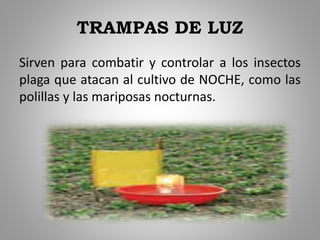 TRAMPAS DE LUZ
Sirven para combatir y controlar a los insectos
plaga que atacan al cultivo de NOCHE, como las
polillas y las mariposas nocturnas.
 