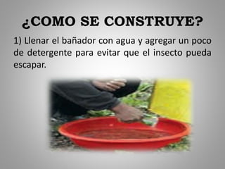 ¿COMO SE CONSTRUYE?
1) Llenar el bañador con agua y agregar un poco
de detergente para evitar que el insecto pueda
escapar.
 