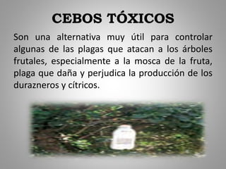 CEBOS TÓXICOS
Son una alternativa muy útil para controlar
algunas de las plagas que atacan a los árboles
frutales, especialmente a la mosca de la fruta,
plaga que daña y perjudica la producción de los
durazneros y cítricos.
 