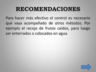 RECOMENDACIONES
Para hacer más efectivo el control es necesario
que vaya acompañado de otros métodos. Por
ejemplo el recojo de frutos caídos, para luego
ser enterrados o colocados en agua.
 