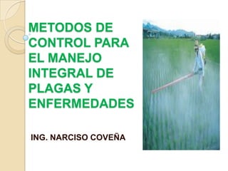 METODOS DE
CONTROL PARA
EL MANEJO
INTEGRAL DE
PLAGAS Y
ENFERMEDADES
ING. NARCISO COVEÑA
 