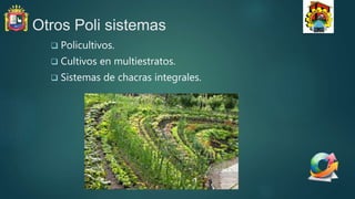 Otros Poli sistemas
 Policultivos.
 Cultivos en multiestratos.
 Sistemas de chacras integrales.
 