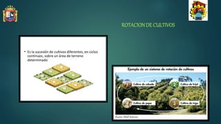 ROTACIONDE CULTIVOS
 