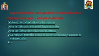 Los fundamentos que justifican la aplicación de la
rotación como agro sistema sostenible:
Manejo aerodinámico de las malezas
Por la diferencia de morfología radicular
Por las diferentes exigencias nutritivas
La rotación permite evadir la acción de insectos y agentes de
enfermedades
…
 