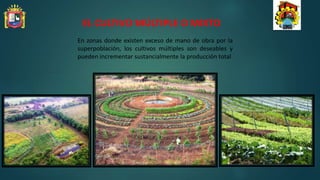 EL CULTIVO MÚLTIPLE O MIXTO
En zonas donde existen exceso de mano de obra por la
superpoblación, los cultivos múltiples son deseables y
pueden incrementar sustancialmente la producción total
 