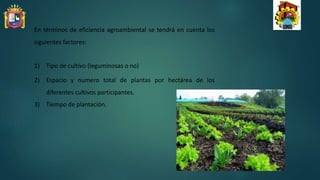 En términos de eficiencia agroambiental se tendrá en cuenta los
siguientes factores:
1) Tipo de cultivo (leguminosas o no)
2) Espacio y numero total de plantas por hectárea de los
diferentes cultivos participantes.
3) Tiempo de plantación.
 