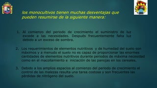 los monocultivos tienen muchas desventajas que
pueden resumirse de la siguiente manera:
1. Al comienzo del periodo de crecimiento el suministro de luz
excede a las necesidades. Después frecuentemente falta luz
debido a un exceso de sombra.
2. Los requerimientos de elementos nutritivos y de humedad del suelo son
máximos y a menudo el suelo no es capaz de proporcionar las enormes
cantidades de elementos nutritivos durante periodos de máxima necesidad
como en el macollamiento e iniciación de las panojas en los cereales.
3. Debido a los amplios espacios al comienzo del periodo de crecimiento el
control de las malezas resulta una tarea costosa y son frecuentes las
pérdidas de nitrógeno del suelo.
 