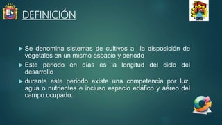 DEFINICIÓN
 Se denomina sistemas de cultivos a la disposición de
vegetales en un mismo espacio y periodo
 Este periodo en días es la longitud del ciclo del
desarrollo
 durante este periodo existe una competencia por luz,
agua o nutrientes e incluso espacio edáfico y aéreo del
campo ocupado.
 