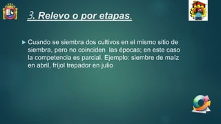 3. Relevo o por etapas.
 Cuando se siembra dos cultivos en el mismo sitio de
siembra, pero no coinciden las épocas; en este caso
la competencia es parcial. Ejemplo: siembre de maíz
en abril, fríjol trepador en julio
 