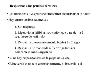 Respuestas a las pruebas térmicas
• Las fibras sensitivas pulpares transmiten exclusivamente dolor.
• Hay cuatro posible respuestas:
1. Sin respuesta
2. Ligero dolor (débil a moderado), que dura de 1 a 2
seg. luego del estímulo.
3. Respuesta momentáneamente fuerte.(1 a 2 seg.)
4. Respuesta de moderada a fuerte que tarda en
desaparecer varios segundos.
• si no hay respuesta térmica la pulpa no es vital.
•P.irreversible no cesa espontáneamente, p. Reversible sí.
 