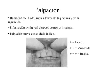 Palpación
• Habilidad táctil adquirida a través de la práctica y de la
repetición.
• Inflamación periapical después de necrosis pulpar.
• Palpación suave con el dedo índice.
+ = Ligero
+ + = Moderado
+ + + = Intenso
 