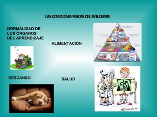 LAS CONDICIONES FISICAS DEL ESTUDIANTE   NORMALIDAD DE  LOS ÓRGANOS  DEL APRENDIZAJE   ALIMENTACIÓN   SALUD   DESCANSO   