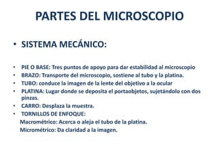 PARTES DEL MICROSCOPIO

• SISTEMA MECÁNICO:

• PIE O BASE: Tres puntos de apoyo para dar estabilidad al microscopio
• BRAZO: Transporte del microscopio, sostiene al tubo y la platina.
• TUBO: conduce la imagen de la lente del objetivo a la ocular
• PLATINA: Lugar donde se deposita el portaobjetos, sujetándolo con dos
  pinzas.
• CARRO: Desplaza la muestra.
• TORNILLOS DE ENFOQUE:
  Macrométrico: Acerca o aleja el tubo de la platina.
  Micrométrico: Da claridad a la imagen.
 