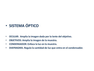 • SISTEMA ÓPTICO

•   OCULAR: Amplia la imagen dada por la lente del objetivo.
•   OBJETIVOS: Amplia la imagen de la muestra.
•   CONDENSADOR: Enfoca la luz en la muestra.
•   DIAFRAGMA. Regula la cantidad de luz que entra en el condensador.
 