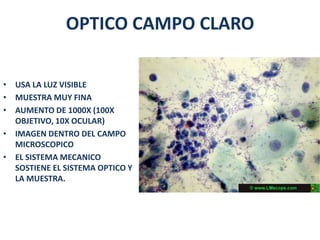 OPTICO CAMPO CLARO

• USA LA LUZ VISIBLE
• MUESTRA MUY FINA
• AUMENTO DE 1000X (100X
  OBJETIVO, 10X OCULAR)
• IMAGEN DENTRO DEL CAMPO
  MICROSCOPICO
• EL SISTEMA MECANICO
  SOSTIENE EL SISTEMA OPTICO Y
  LA MUESTRA.
 