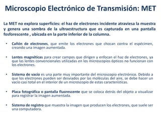 Microscopio Electrónico de Transmisión: MET
La MET no explora superficies: el haz de electrones incidente atraviesa la muestra
y genera una sombra de la ultraestructura que es capturada en una pantalla
fosforescente , ubicada en la parte inferior de la columna.

 •   Cañón de electrones, que emite los electrones que chocan contra el espécimen,
     creando una imagen aumentada.

 •   Lentes magnéticas para crear campos que dirigen y enfocan el haz de electrones, ya
     que las lentes convencionales utilizadas en los microscopios ópticos no funcionan con
     los electrones.

 •   Sistema de vacío es una parte muy importante del microscopio electrónico. Debido a
     que los electrones pueden ser desviados por las moléculas del aire, se debe hacer un
     vacío casi total en el interior de un microscopio de estas características.

 •   Placa fotográfica o pantalla fluorescente que se coloca detrás del objeto a visualizar
     para registrar la imagen aumentada.

 •   Sistema de registro que muestra la imagen que producen los electrones, que suele ser
     una computadora.
 
