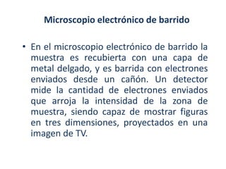 Microscopio electrónico de barrido

• En el microscopio electrónico de barrido la
  muestra es recubierta con una capa de
  metal delgado, y es barrida con electrones
  enviados desde un cañón. Un detector
  mide la cantidad de electrones enviados
  que arroja la intensidad de la zona de
  muestra, siendo capaz de mostrar figuras
  en tres dimensiones, proyectados en una
  imagen de TV.
 