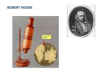 ROBERT HOOKE
 