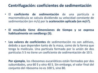 Centrifugación: coeficientes de sedimentación
• El coeficiente de sedimentación de una partícula o
  macromolécula se calcula dividiendo su velocidad constante de
  sedimentación (en m/s) por la aceleración aplicada (en m/s2).

• El resultado tiene dimensiones de tiempo y se expresa
  habitualmente en svedbergs (S).

• Los valores de coeficientes de sedimentación no son aditivos,
  debido a que dependen tanto de la masa, como de la forma que
  tenga la molécula. Una partícula formada por la unión de dos
  partículas 5 S no tiene un coeficiente de sedimentación de 10 S.

  Por ejemplo, los ribosomas eucarióticos están formados por dos
  subunidades, una 60 S y otra 40 S. Sin embargo, el valor final del
  conjunto del ribosoma no es 100 S, sino 80.
 