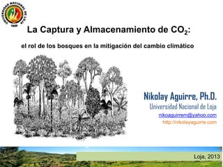 La Captura y Almacenamiento de CO2:
el rol de los bosques en la mitigación del cambio climático
Nikolay Aguirre, Ph.D.
Universidad Nacional de Loja
nikoaguirrem@yahoo.com
http://nikolayaguirre.com
Loja, 2013
 