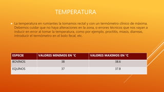 TEMPERATURA
 La temperatura en rumiantes la tomamos rectal y con un termómetro clínico de máxima.
Debemos cuidar que no haya alteraciones en la zona, o errores técnicos que nos vayan a
inducir en error al tomar la temperatura, como por ejemplo, proctitis, miasis, diarreas,
introducir el termómetro en el bolo fecal, etc.
ESPECIE VALORES MINIMOS EN °C VALORES MAXIMOS EN °C
BOVINOS 38 38.6
EQUINOS 37 37.8
 