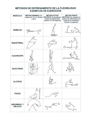 Metodos de flexibilidad