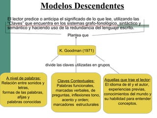 Modelos Descendentes El lector predice o anticipa el significado de lo que lee, utilizando las “Claves” que encuentra en los sistemas grafo-fonológico, sintáctico y semántico y haciendo uso de la redundancia del lenguaje escrito. Plantea que  K. Goodman (1971) divide las claves utilizadas en grupos A nivel de palabras: Relación entre sonidos y  letras, formas de las palabras,  afijas y palabras conocidas Claves Contextuales: Palabras funcionales,  marcadas verbales, de  preguntas, inflexiones tono, acento y orden;  marcadores  estructurales Aquellas que trae el lector : El idioma de él y el autor,  experiencias previas,  conocimientos del mundo y su habilidad para entender conceptos. 
