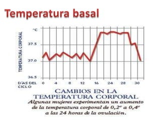 Temperatura basal