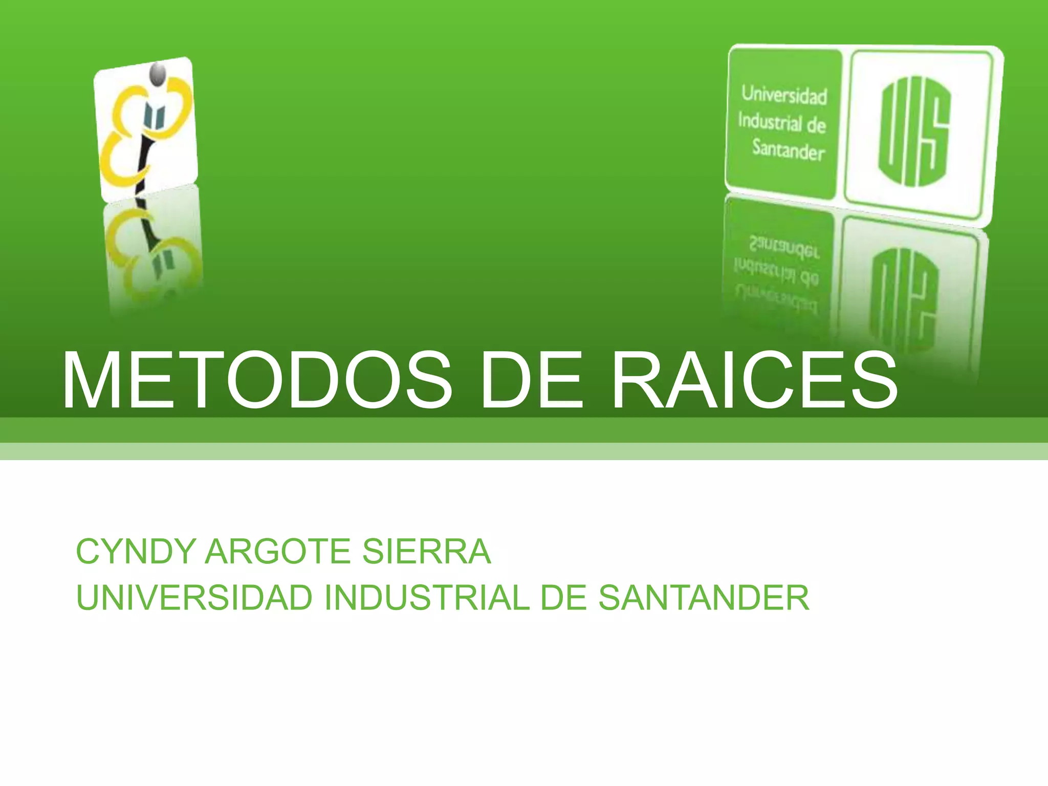 METODOS DE RAICESCYNDY ARGOTE SIERRAUNIVERSIDAD INDUSTRIAL DE SANTANDER