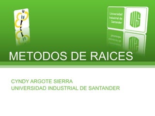 METODOS DE RAICES CYNDY ARGOTE SIERRA UNIVERSIDAD INDUSTRIAL DE SANTANDER 
