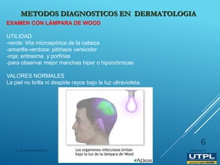 PDF) Luz de Wood en dermatología: una técnica imprescindible