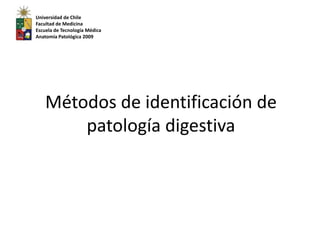 Universidad de Chile Facultad de Medicina Escuela de Tecnología Médica Anatomía Patológica 2009 Métodos de identificación de patología digestiva  