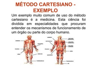 MÉTODO CARTESIANO -
EXEMPLO
Um exemplo muito comum de uso do método
cartesiano é a medicina. Esta ciência foi
dividida em especialidades que procuram
entender os mecanismos de funcionamento de
um órgão ou parte do corpo humano.
 