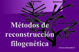 Métodos de
reconstrucción
filogenética Antonio Barbadilla P.
 