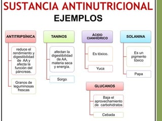SUSTANCIA ANTINUTRICIONAL
EJEMPLOS
ANTITRIPSÍNICA
reduce el
rendimiento y
digestibilidad
de AA y
afecta la
función del
páncreas.
Granos de
leguminosas
frescas
TANINOS
afectan la
digestibilidad
de AA,
materia seca
y energía.
Sorgo
ÁCIDO
CIANHÍDRICO
Es tóxico.
Yuca
SOLANINA
Es un
pigmento
tóxico
Papa
GLUCANOS
Baja el
aprovechamiento
de carbohidratos
Cebada
 