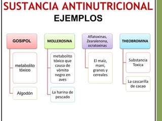 GOSIPOL
metabolito
tóxico
Algodón
MOLLEROSINA
metabolito
tóxico que
causa de
vómito
negro en
aves
La harina de
pescado
Aflatoxinas,
Zearalenona,
ocratoxinas
El maíz,
maní,
granos y
cereales
THEOBROMINA
Substancia
Toxica
La cascarilla
de cacao
SUSTANCIA ANTINUTRICIONAL
EJEMPLOS
 